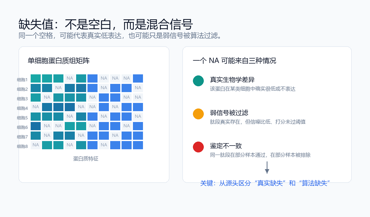 缺失值不是空白，而是混合信号