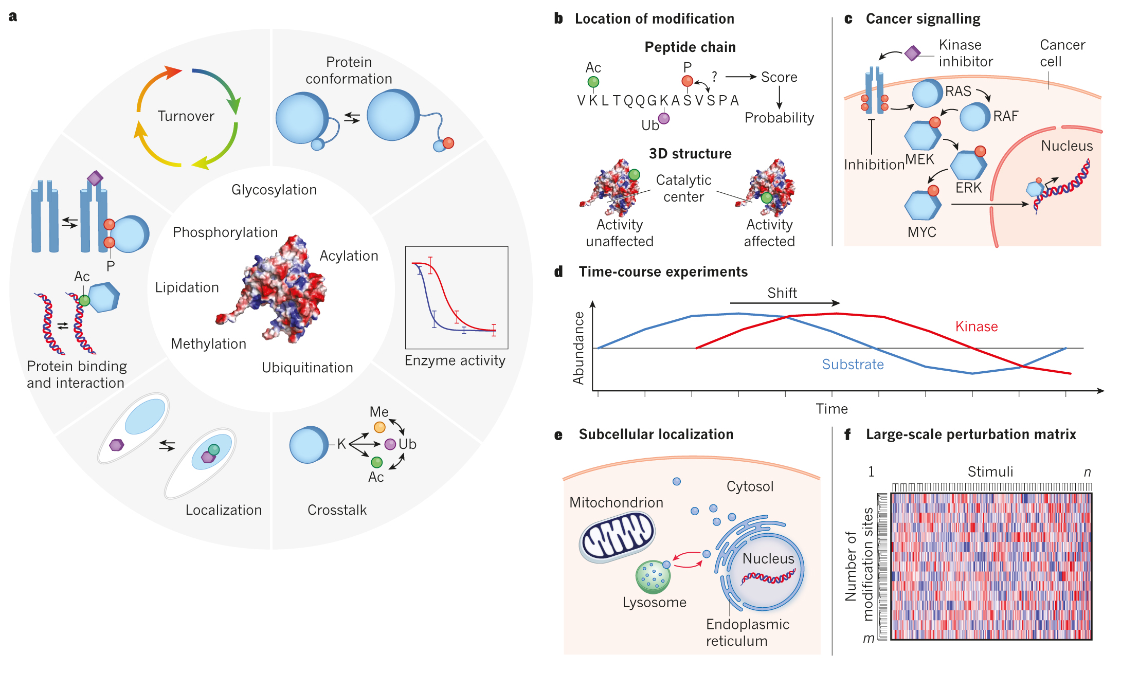 Analysis of post-translational modifications