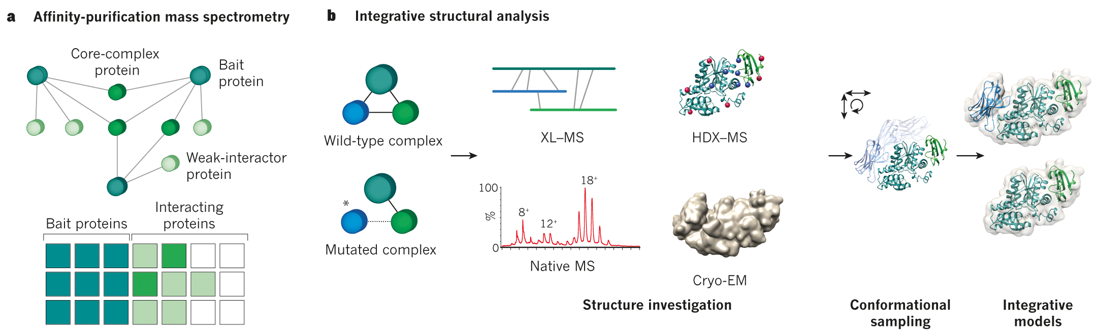 Interaction and structural proteomics