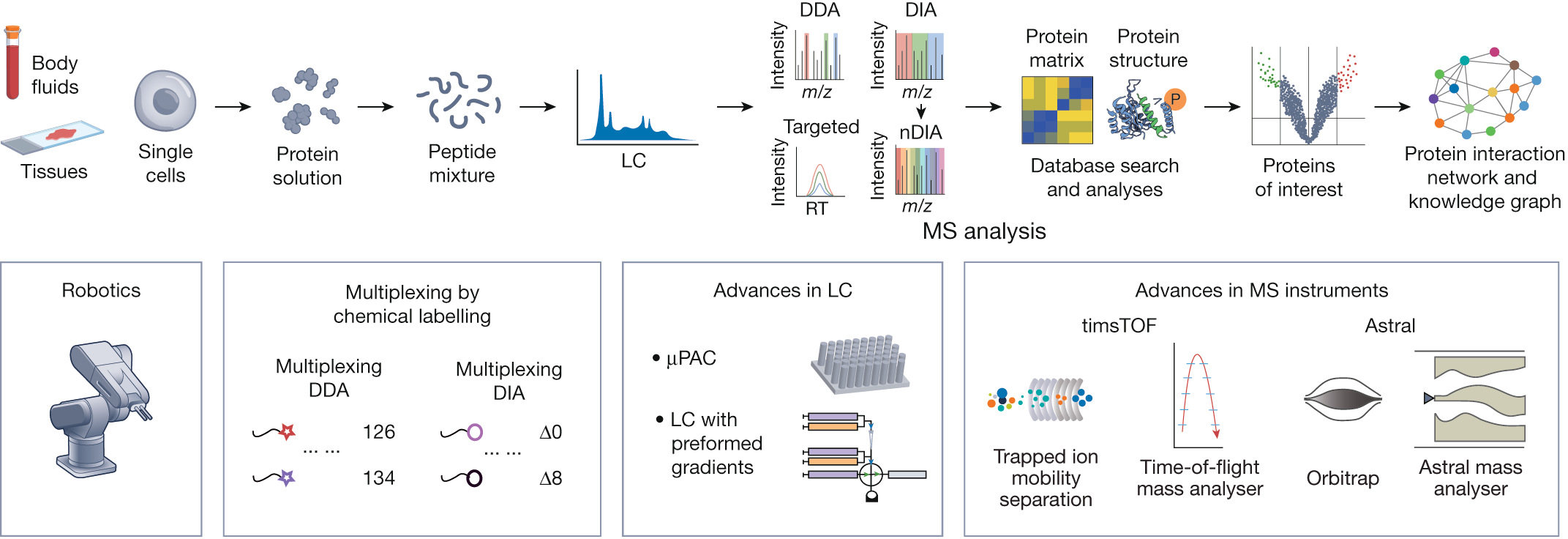Basic MS-based proteomics workflow