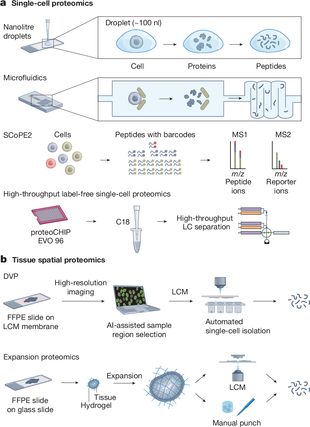 Single-cell and spatial proteomics
