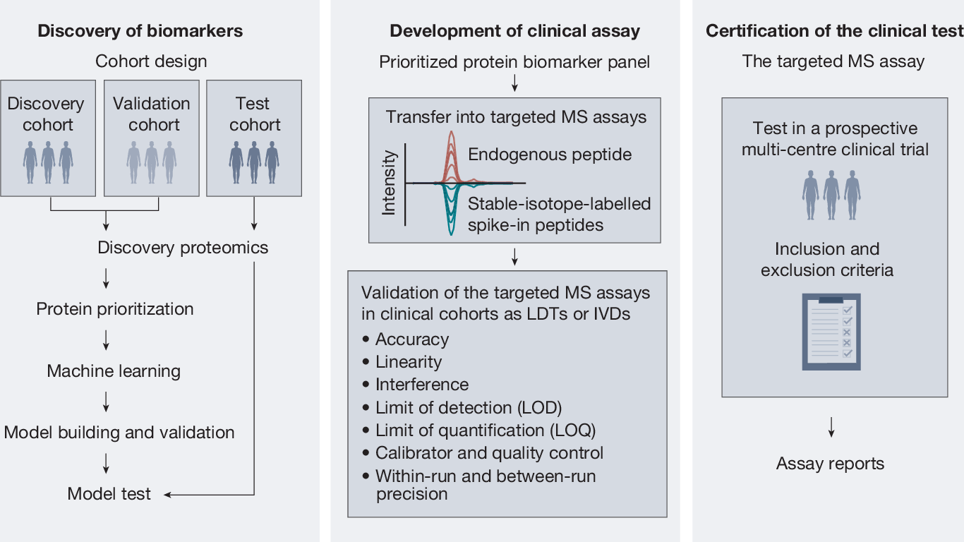 Clinical assays from discovery proteomics