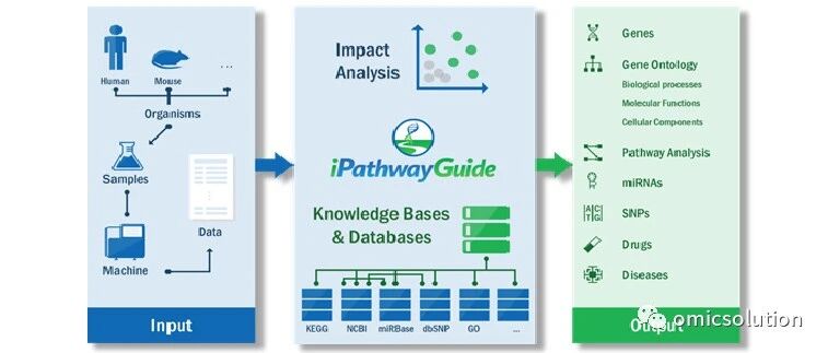 什么是iPathwayGuide?