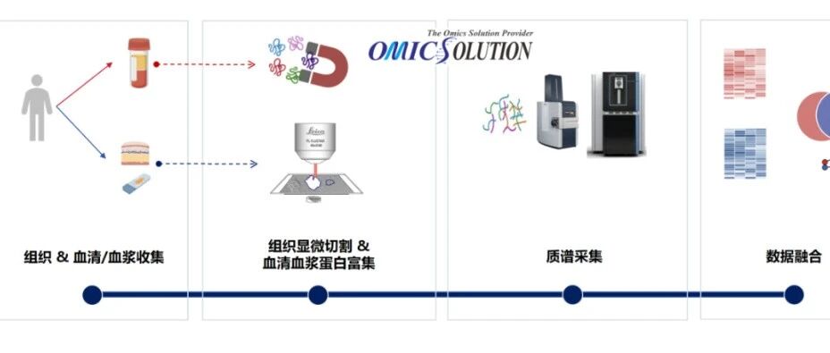 从组织到血浆：空间蛋白组联合血浆DIA如何实现蛋白标志物的临床转化