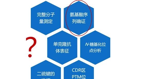你真的了解你的抗体药么