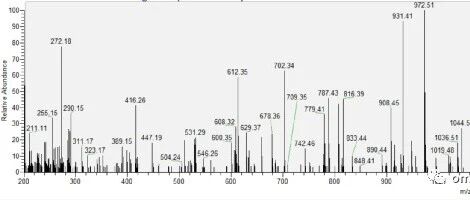 关键字解读p1：Protein、Protein Group、Peptide、Modified peptide、Precursor