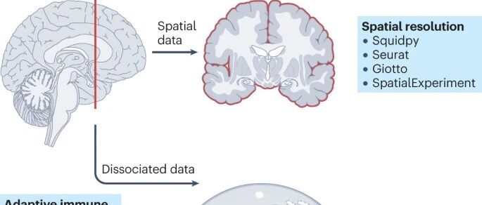 单细胞分析的最佳实践|Nature Reviews Genetics带你走进细胞的空间世界