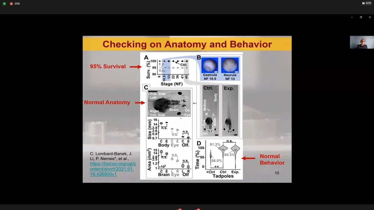 单细胞第二场 单细胞神经生物学