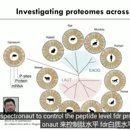 哺乳动物细胞在选择和胁迫下蛋白质组和磷酸化蛋白组的重组