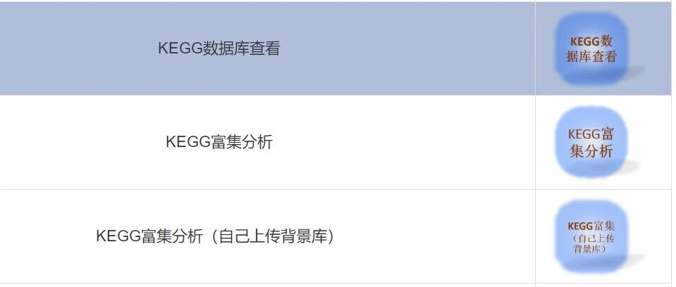 基于悟空云平台的KEGG数据库查看与富集分析
