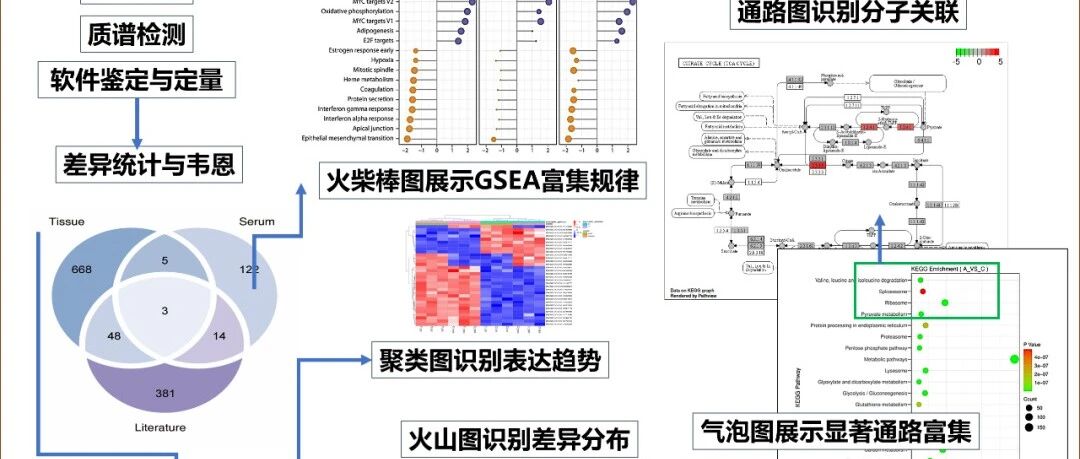 易算定制分析方案: 探索不同样本量下的蛋白组生物信息学解决策略