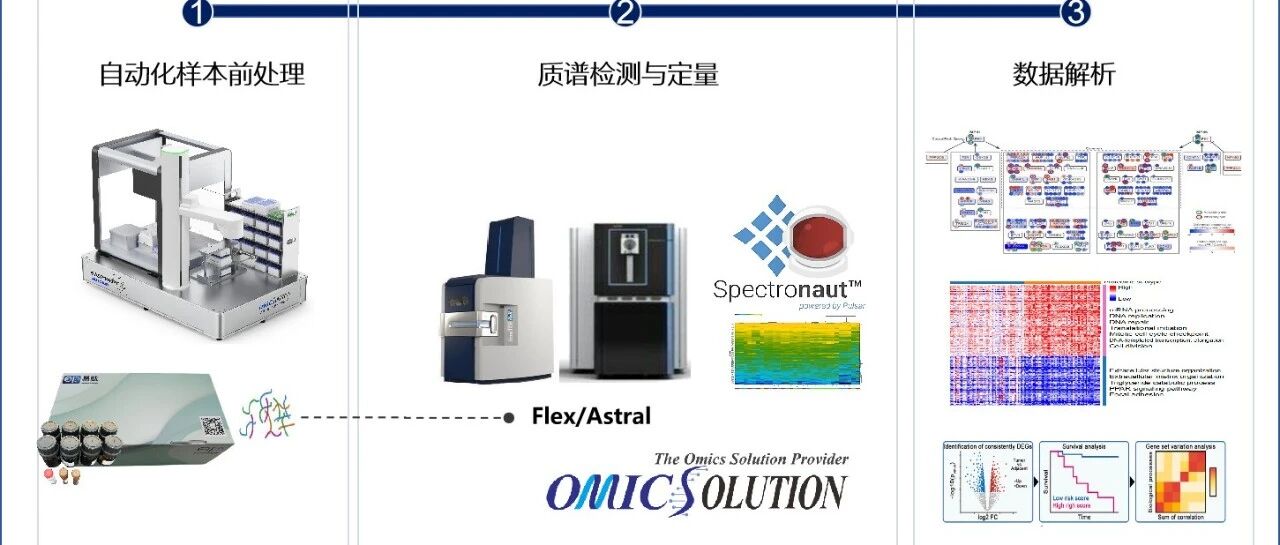 易算整理 | 2025 年了，面对 UniProt 的 FASTA 数据库，你还在纠结选哪个吗？