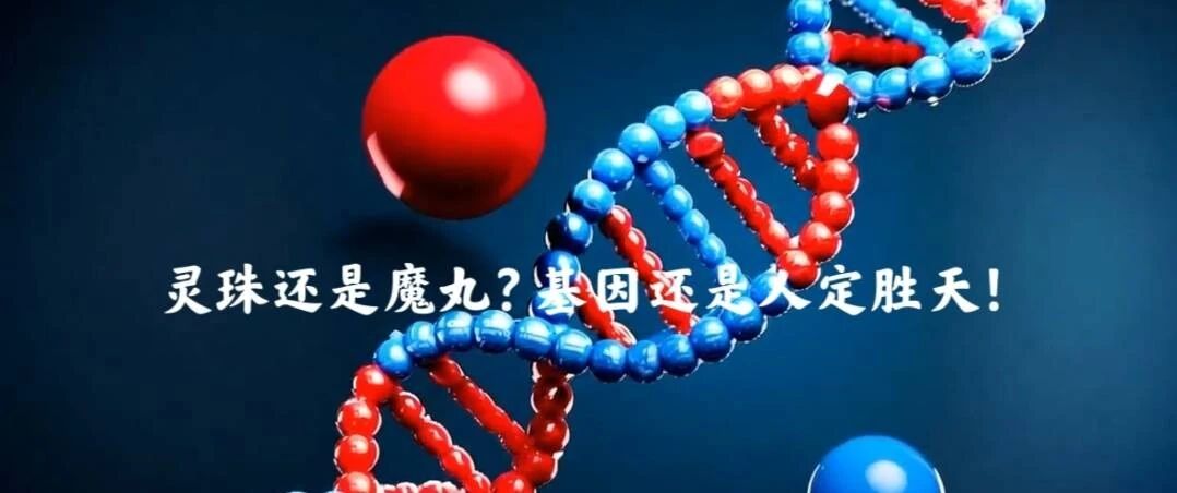 生来注定？看我逆天改命！