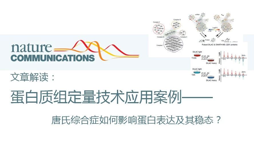 蛋白质组定量技术应用案例—— 【Nature Communication】 唐氏综合症如何影响蛋白表达及其稳态？