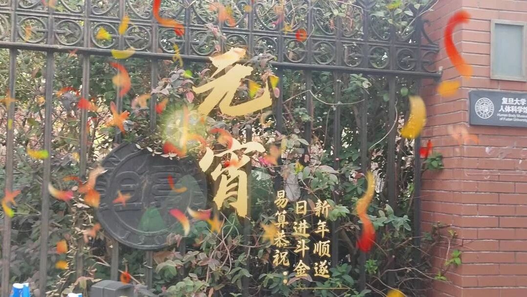 重要客户回访系列2:AUTO150——今年元月时，月与灯依旧