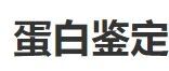 鉴定项目结果说明