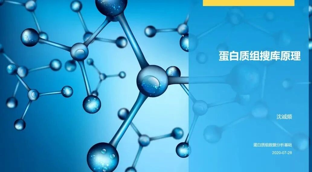 12质谱鉴定