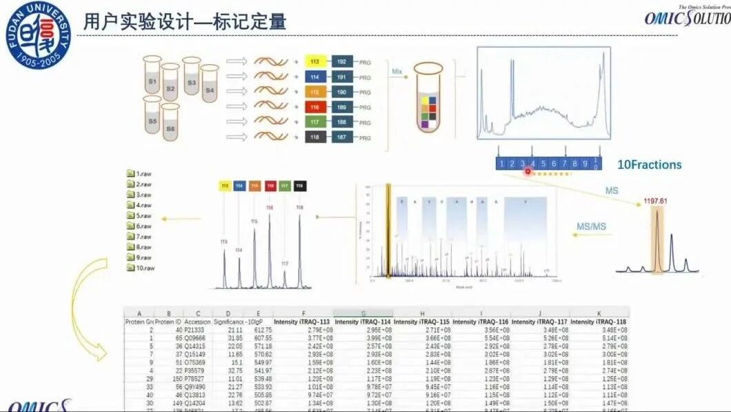 16.蛋白质组数据分析流程及解读