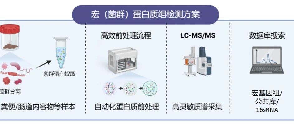 2024易算微生物宏蛋白质组全流程解决方案