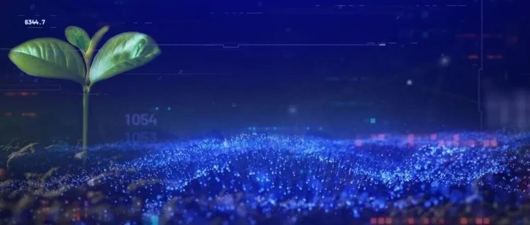 2024 第五届植物代谢国际会议-第二轮通知