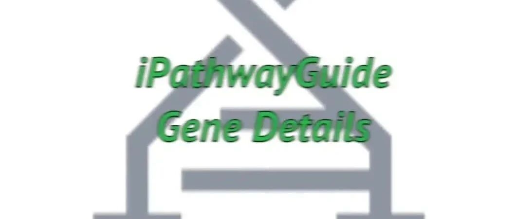 3.1 基因（Genes）模块-Genes Details