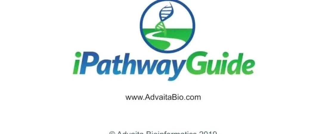 7.1 iPathwayGuide上游调控分析-Genes