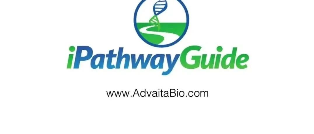 8.1 在iPathwayGuide中构建网络