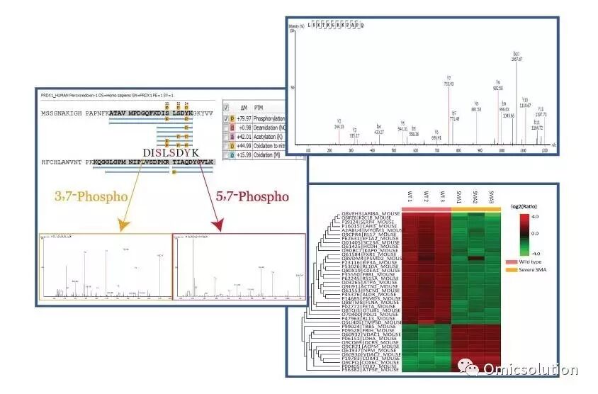 BSI Workshop：基于质谱的蛋白质药物定性定量分析技术及应用培训