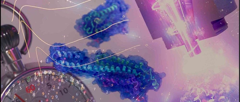 Cell ！刘延盛/彭隽敏及悟空云作者王诗盛等首次绘制小鼠多器官蛋白质组周转图谱 开创plexDIA技术新篇章