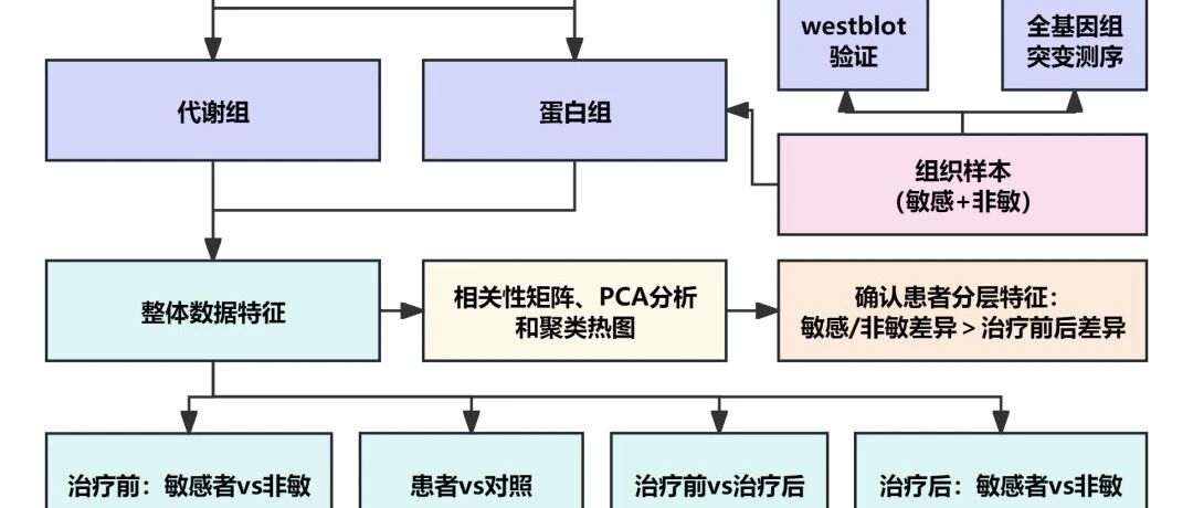 【Cell Rep】易算共一作：蛋白代谢+机器学习发现肝细胞癌治疗敏感分子