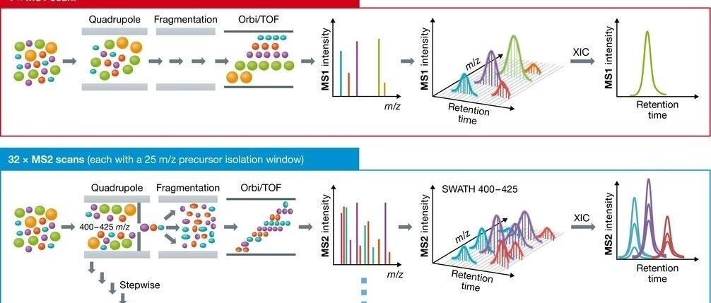 DIA定量技术入门之二：SWATH-MS的“那些事”！