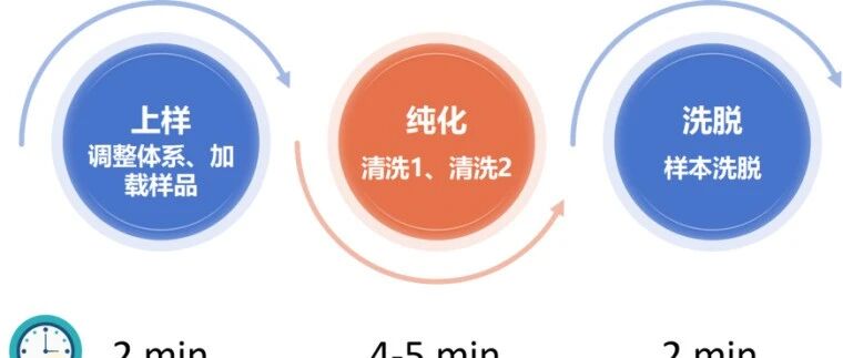 EasyPept 肽段除盐Tip