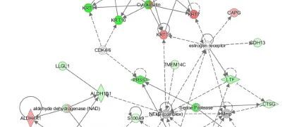 IPA-network分析简介