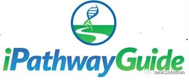 iPG和GSEA的通路计算有何不同？