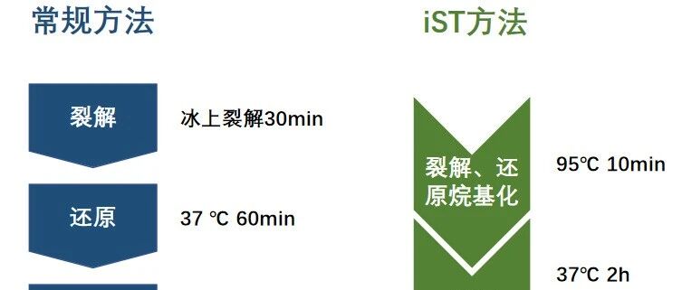 iST试剂盒处理微量样品，方法及结果比较
