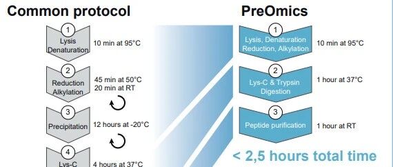 Mann的首选，PreOmics iST与Spectronaut强强联手打造DIA最佳上下游方案