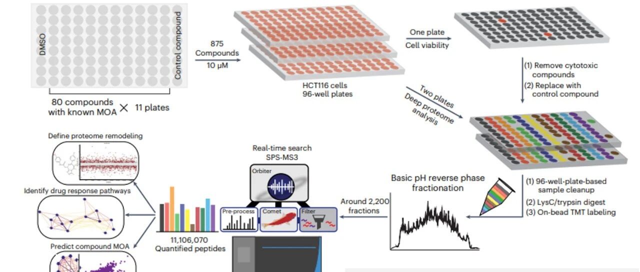 Nature Biotechnology精选：蛋白质组图谱如何助力药物机制探索