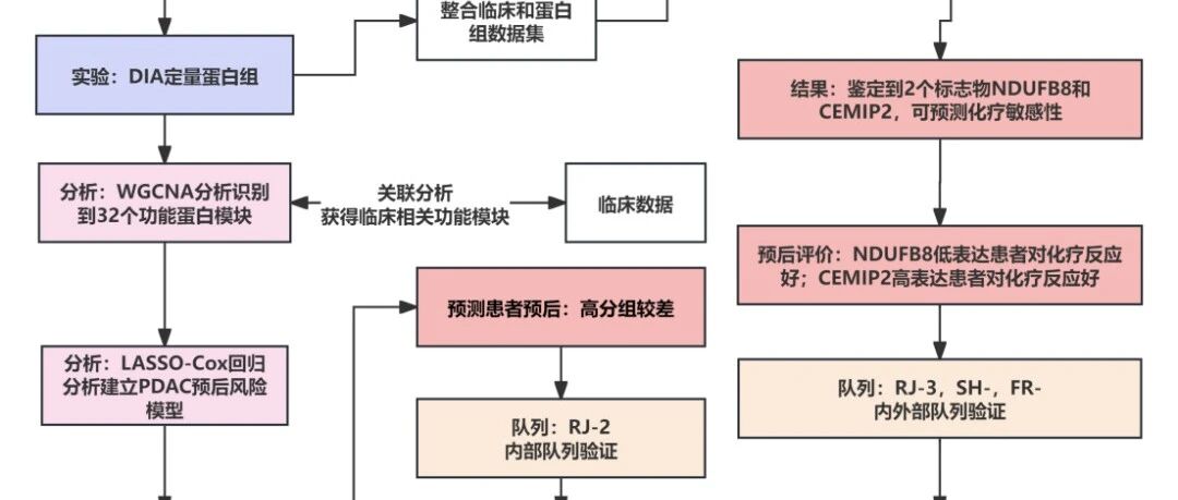 《Nature Medicine》：DIA+Spectronaut+PRM：发现并验证胰腺癌化疗敏感性的蛋白标志物