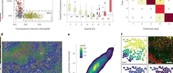 《Nature Methods》肝细胞空间蛋白组研究：实验设计思路的深度解读