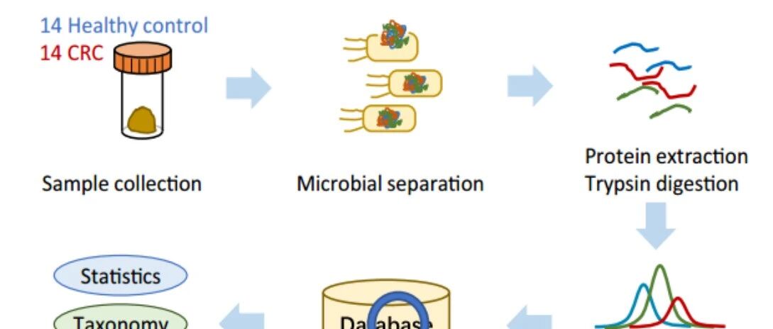 NPJ-Biofilms and Microbiomes 易算与复旦、长海医院携手发表宏蛋白质DIA研究成果