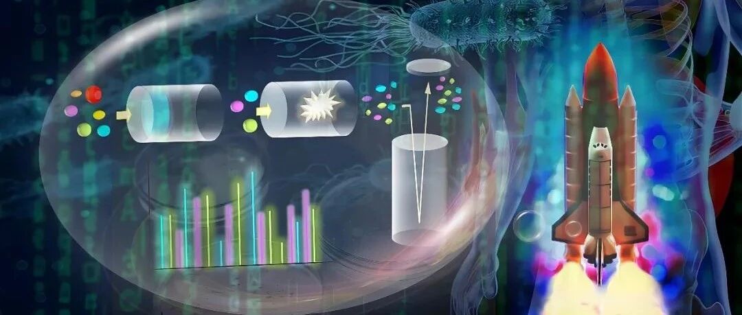 NPJ BIOFILMS MICROBI|复旦-交大-易算最新合作成果：DIA如何跨过宏蛋白组的第一宇宙速度