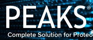 peaks studio 201911月更新补丁