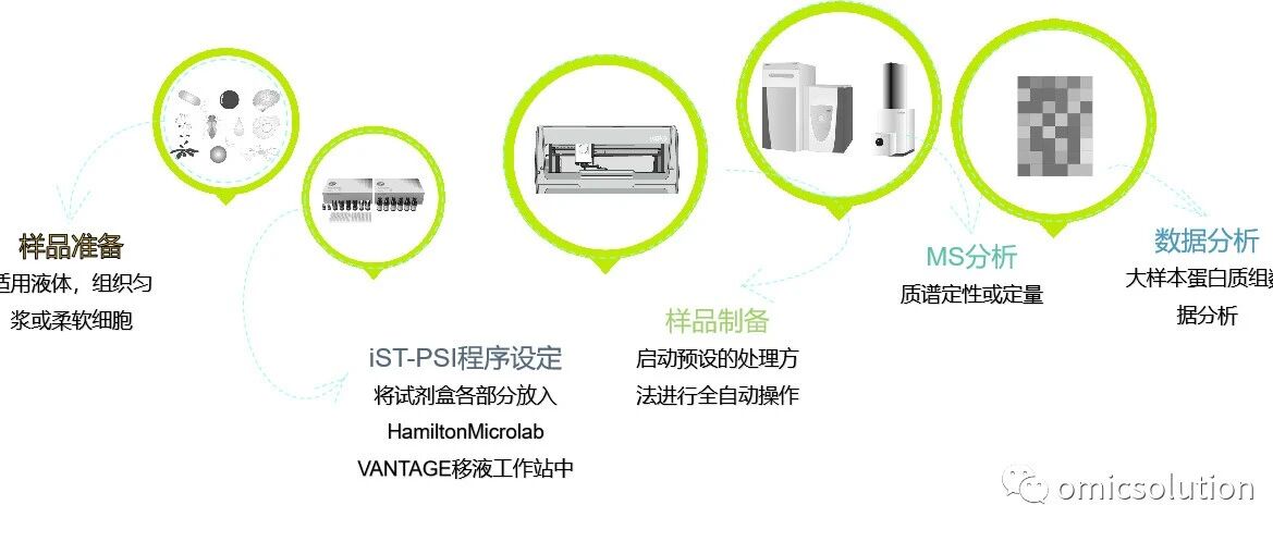 PreOmics携手Hamilton发布高通量全自动蛋白质组样品制备方案