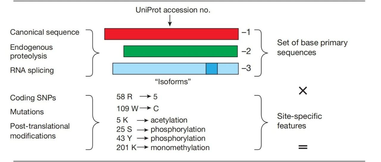 Proteoform及其检测难题