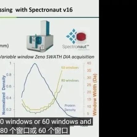 Spectronaut16发布会讲座，缺血性肾损伤及干预质量
