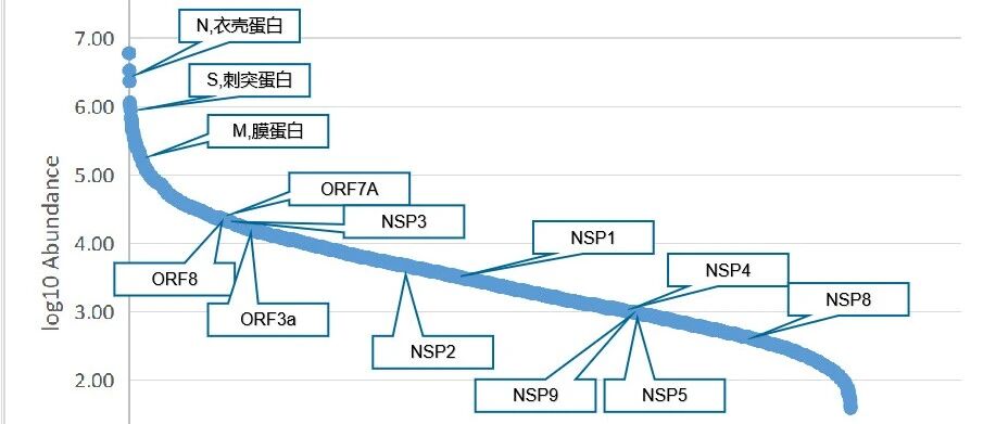 UniProt深度解读-p2.1案例分析：COVID19蛋白质组和UniProt