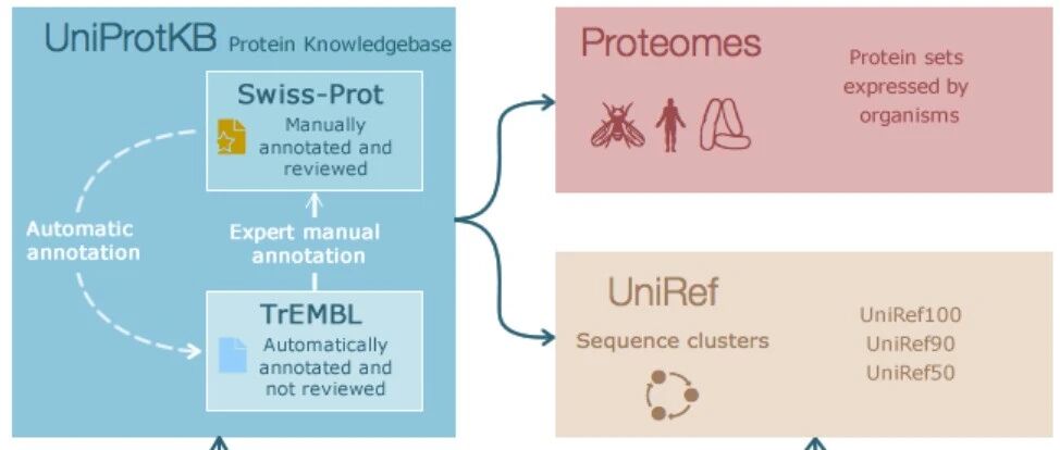 UniProt深度解读-p2.3：蛋白质序列分类及Proteome数据库食用指南